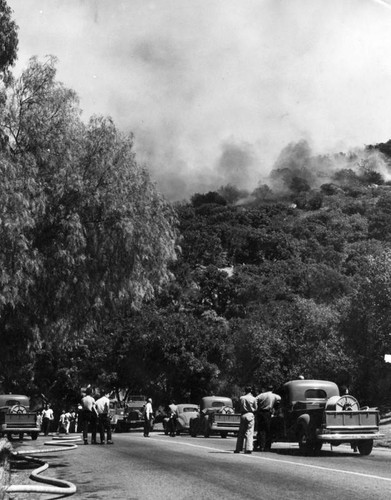 Griffith Park fire