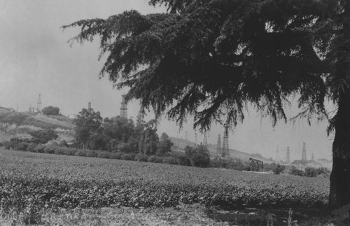 Oil field in Monterey Park