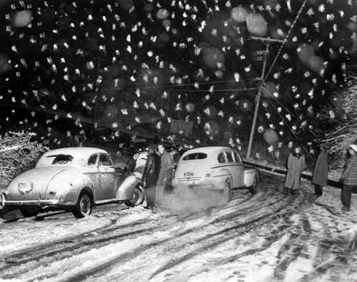 Snow in Coldwater Canyon