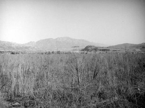 San Fernando Valley from Foothill