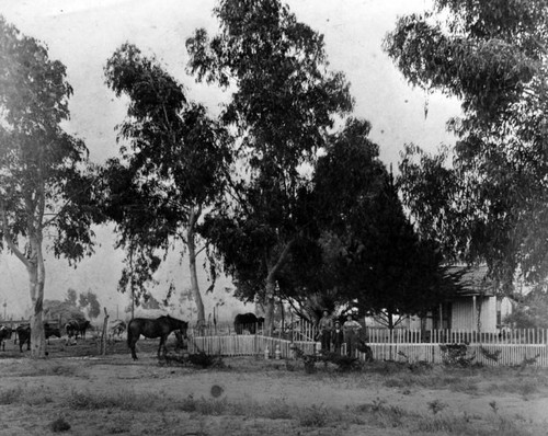 Early streets in Long Beach