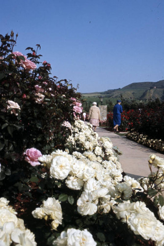 Rose Hills Memorial Park, Whittier