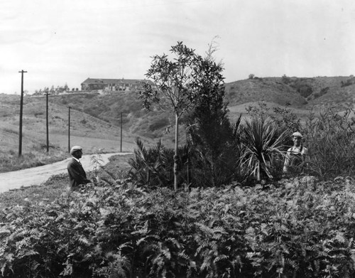 Off of Doheny Road, Beverly Hills