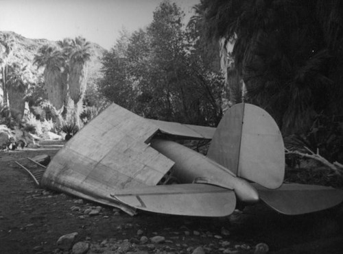 Downed plane, Palm Canyon area