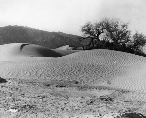 Death Valley sand dunes