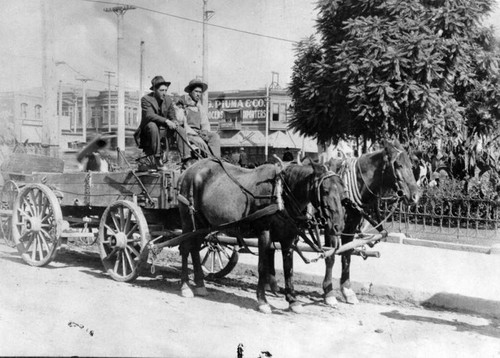 Horse-drawn wagon