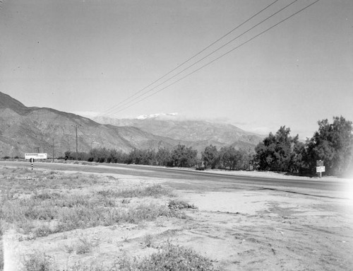 Orange groves in Hemet