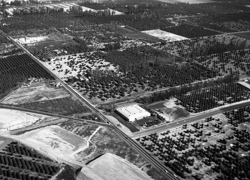 Tustin Drive-In site