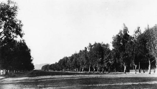 Unpaved road, Ocean Avenue