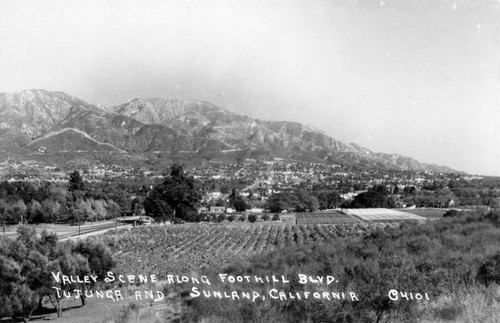 Tujunga valley near Foothill Blvd