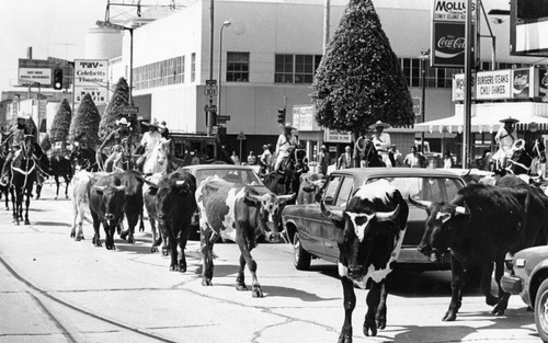 Rodeo parade in Hollywood