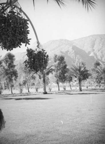 El Mirador Hotel grounds, Palm Springs