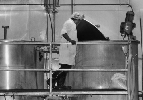 Cooking and stirring vats, Walker Foods, Inc