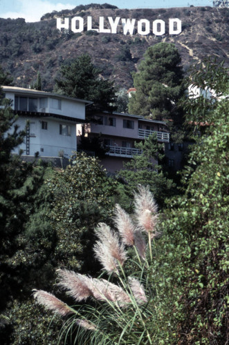 Hollywood Sign