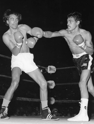 Arguello and Torres fight