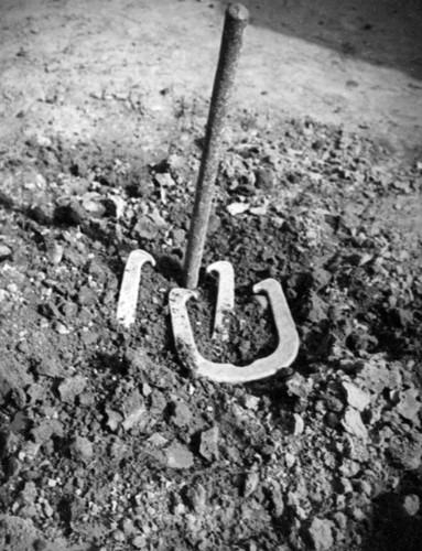 Horseshoe game in Exposition Park