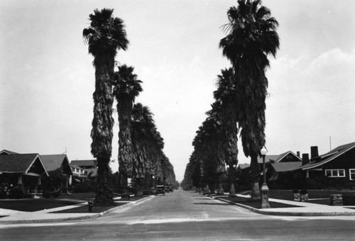 Residential street in Alhambra