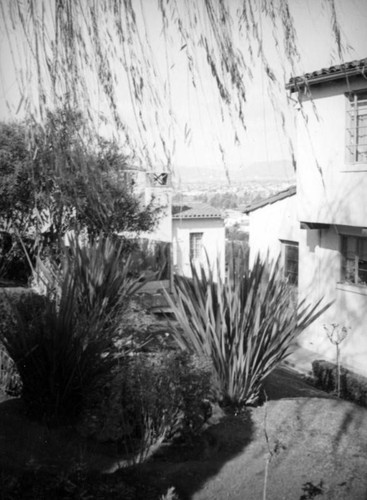 Houses on Aureola Boulevard