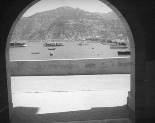 Boats moored in the harbor, Avalon