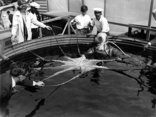 Octopus at 1928 Pacific Southwest Exposition