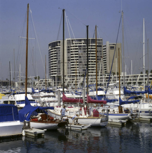 Marina del Rey