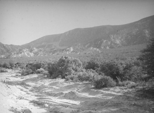 Vista near the Cajon Pass