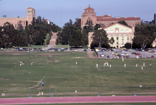 UCLA campus