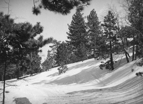 Big Pines Recreation Camp, snowy landscape