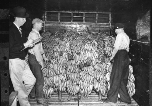 Loading bananas