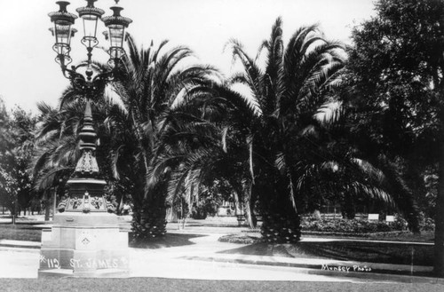 View of St. James Park