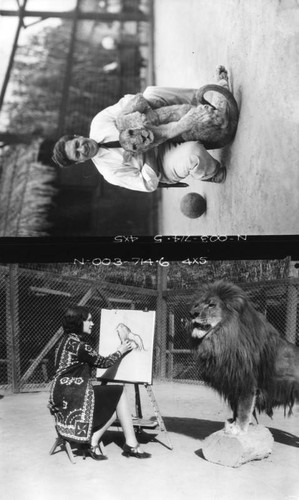 Gay's Lion Farm in 1939, views 5-6 — Calisphere
