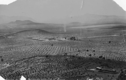 Maguey or pulque hacienda, Mexico