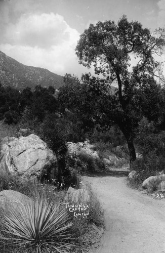 Tujunga Canyon path