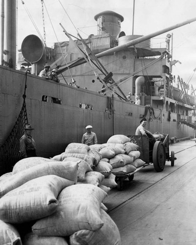 Workers stand posed on the docks