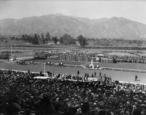 A day at the races, Santa Anita Racetrack