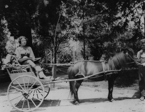 Children in a buggy