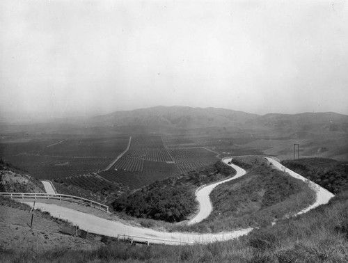 Turnbull Canyon