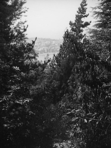 Reservoir view in Silver Lake