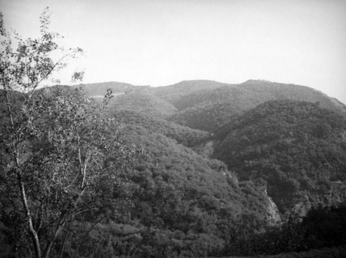 Rolling hills in Topanga Canyon