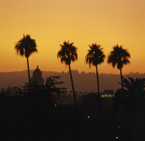 Beverly Hills Sunset