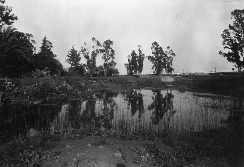 Hancock Park and tar pit