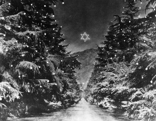 Christmas Tree Lane, Altadena