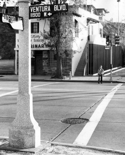 Ventura Boulevard crossing--for sprinters only?