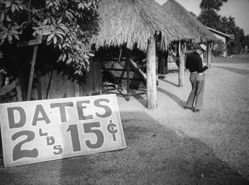 Buying dates at Chase's Avocado Hut in Duarte