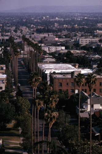 Taft Avenue, Hollywood