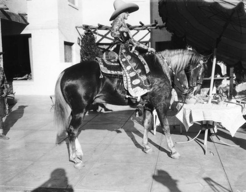 Horse and rider dress up to dine