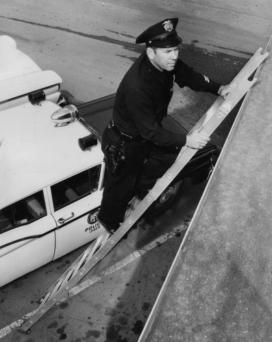 Police officer demonstrates ladder to trap roof-runners, view 1