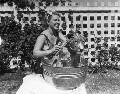 Woman washing lion