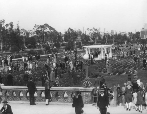 Rose garden at Exposition Park