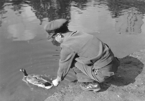 Duck at MacArthur Park